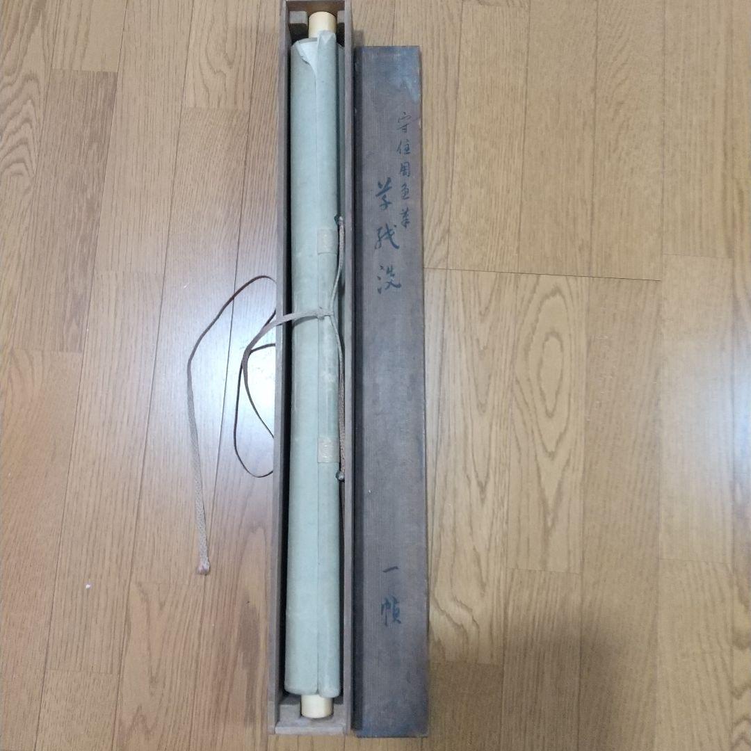 守住周魚・掛軸・大和絵・守住貫魚・日本画