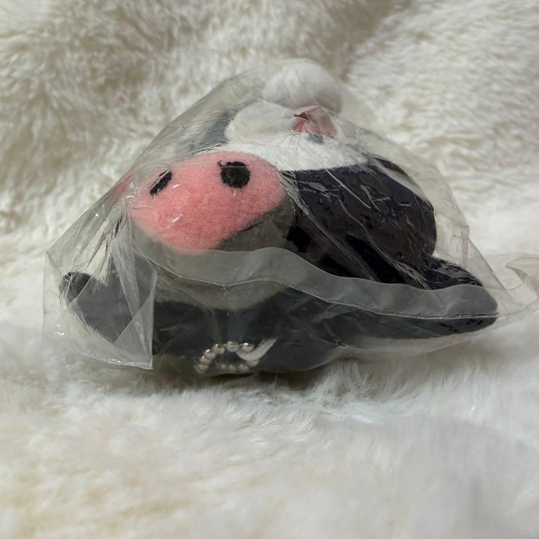 【希少】ご当地キティ 鹿児島限定 黒豚