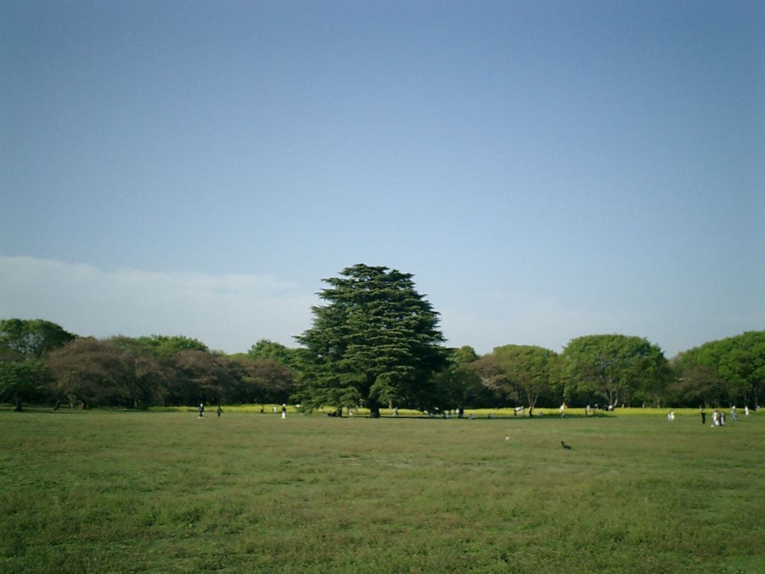 デジタルカメラ CASIO EXLIM EX-S1