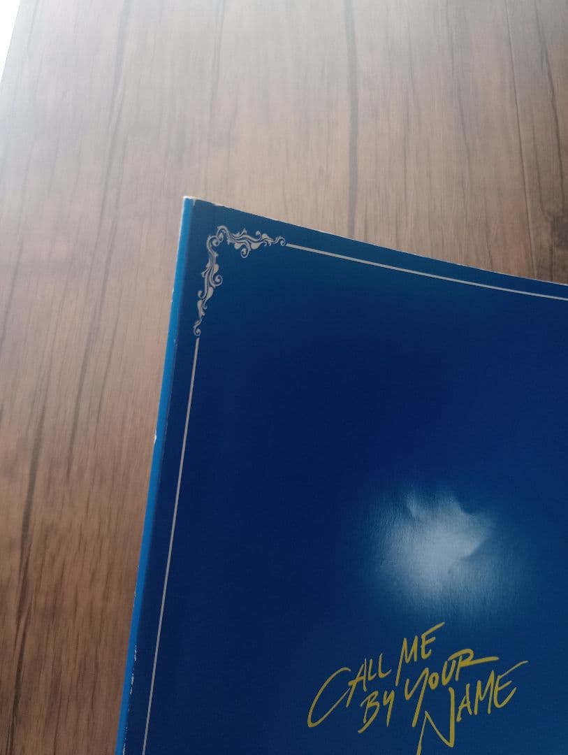 【限定版】君の名前で僕を呼んで パンフレット