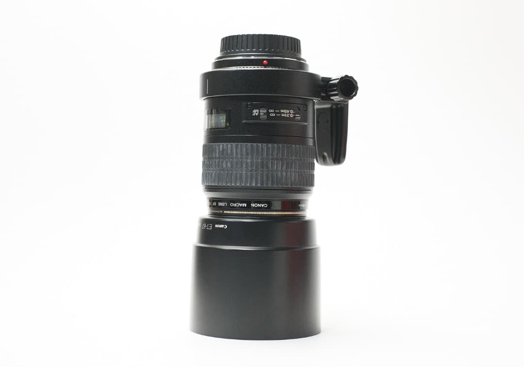 Canon EF 100mm f/2.8 マクロ USM レンズ（作例あり）