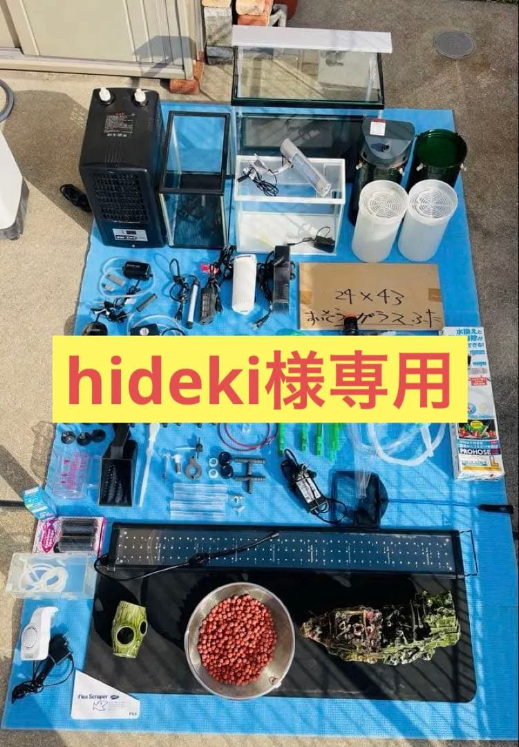 海水魚鑑賞　備品いろいろ（全品購入の方募集）