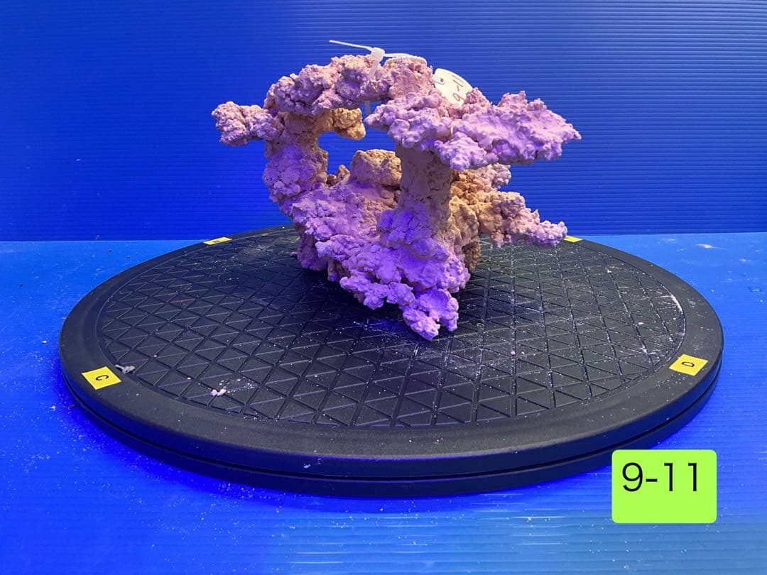 人工ライブロック　No.11 無害化処理済