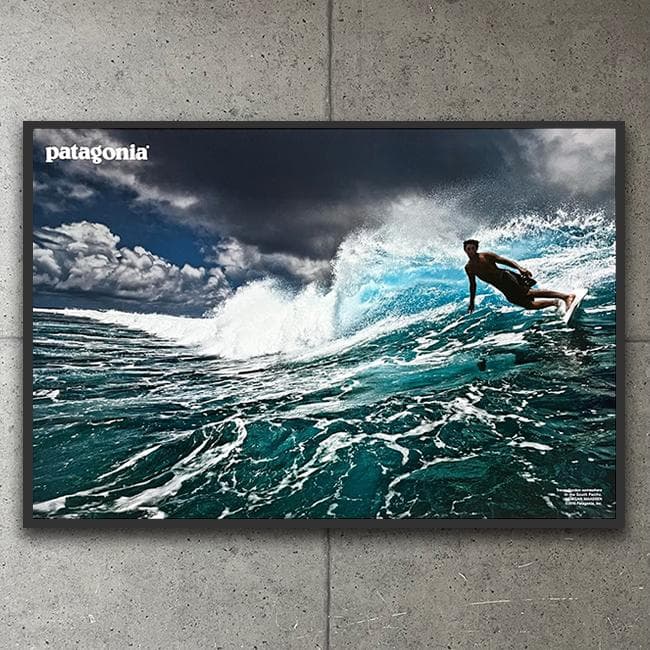 額装品/Protect Your Break（パタゴニア）/アートポスター