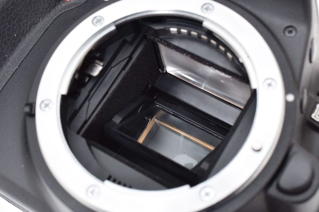 一眼レフデビュー定番の名機✨Nikon D3100✨標準ズームレンズセット✨軽量