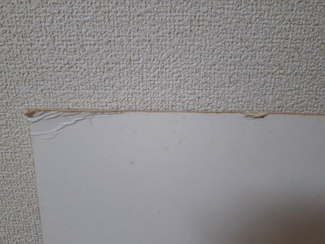 【一点物】トム・パーキンソン/Tom Perkinson スカイウォーカー 原画