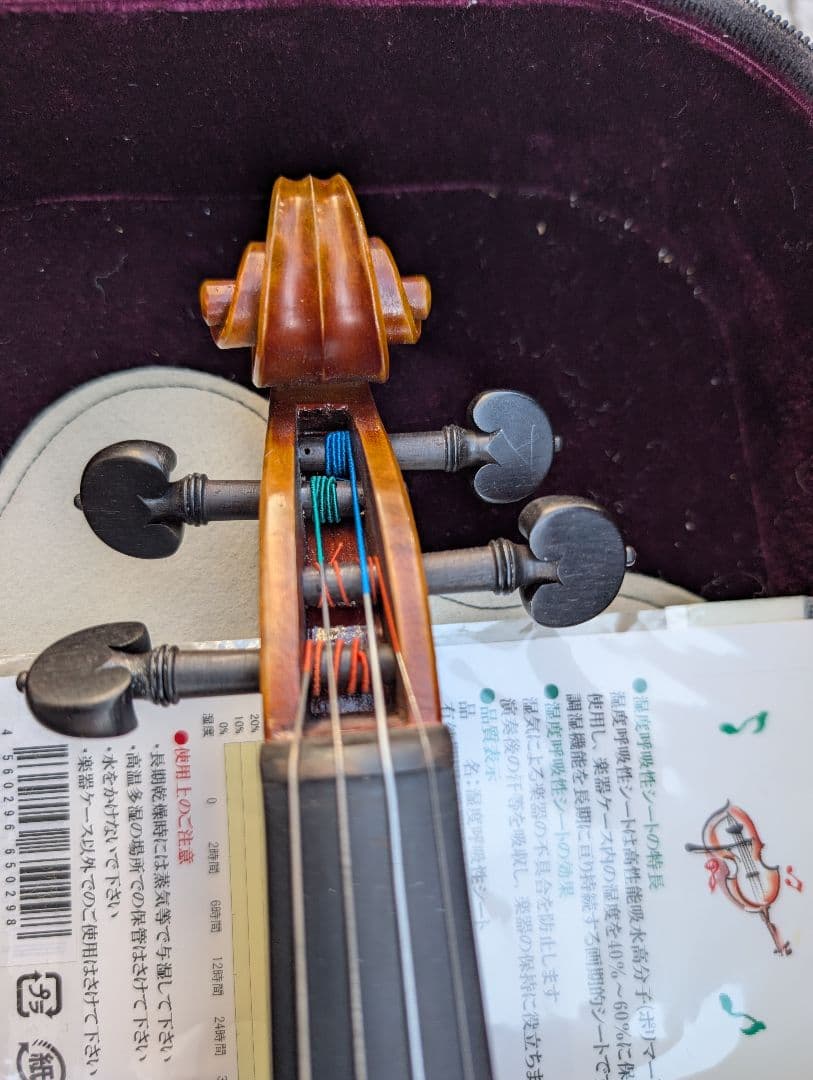 【特価】エレキバイオリン　David Gage　The Realist　RV4