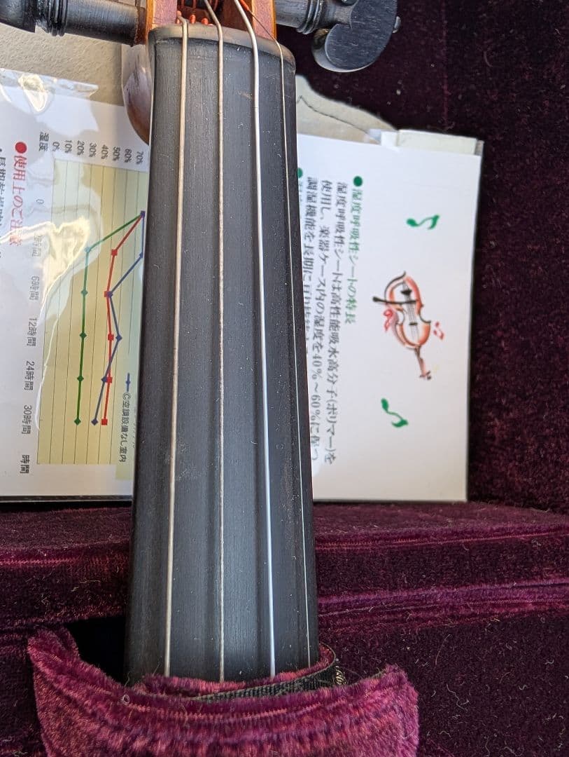 【特価】エレキバイオリン　David Gage　The Realist　RV4