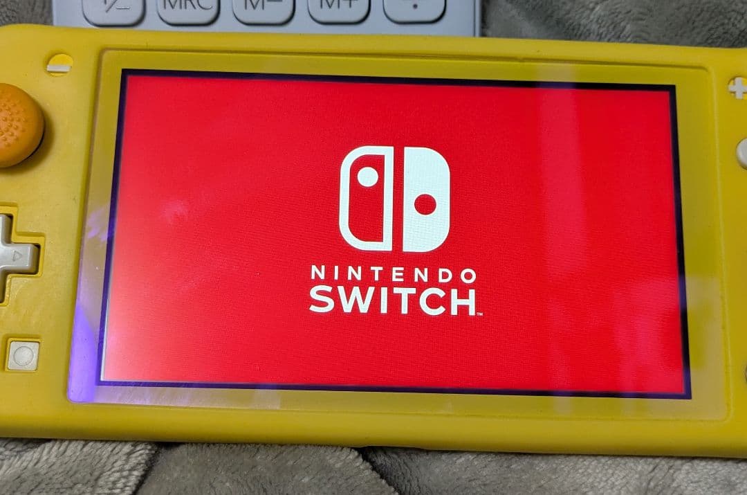 Nintendo Switch Lite　本体　純正ACアダプター 充電器付き