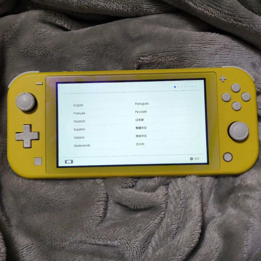 Nintendo Switch Lite　本体　純正ACアダプター 充電器付き