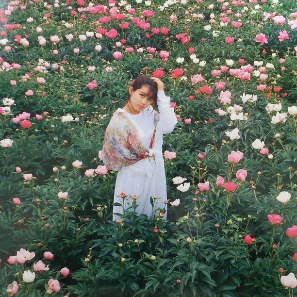 「田村英里子」ＣＤ販促用パノラマポスター（非売品・新品）