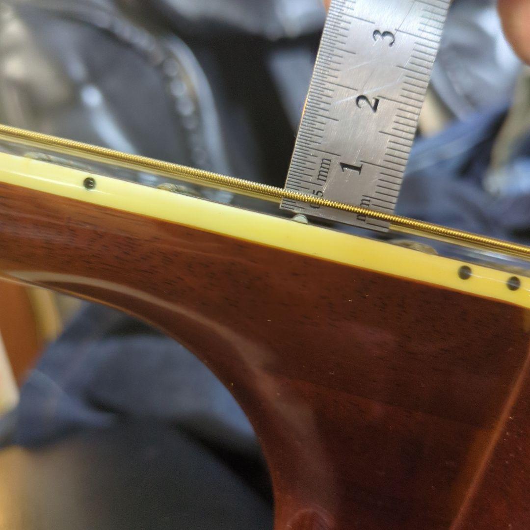 Wood Land エレアコ、 パーラーギター.WL-5