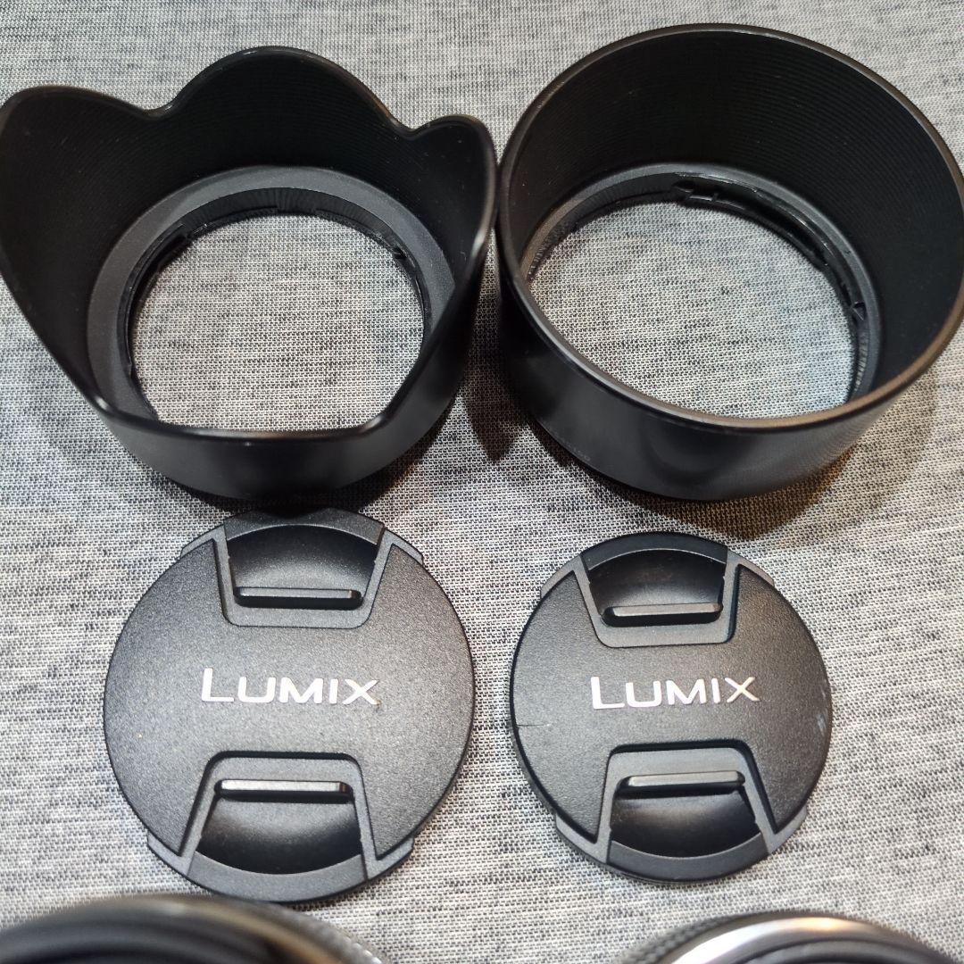 LUMIX 望遠レンズ G VARIO set