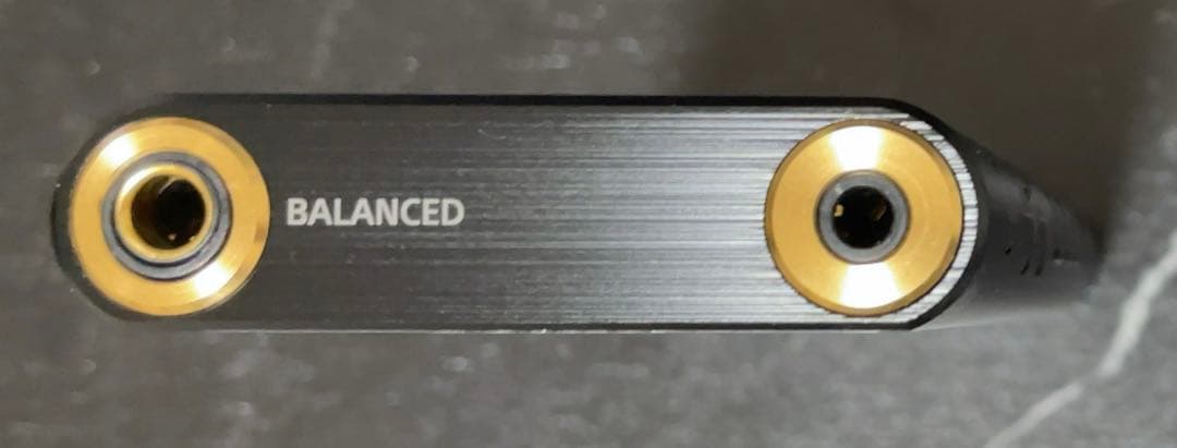 ポータブルプレーヤー SONY WALKMAN NW-ZX300 64GB