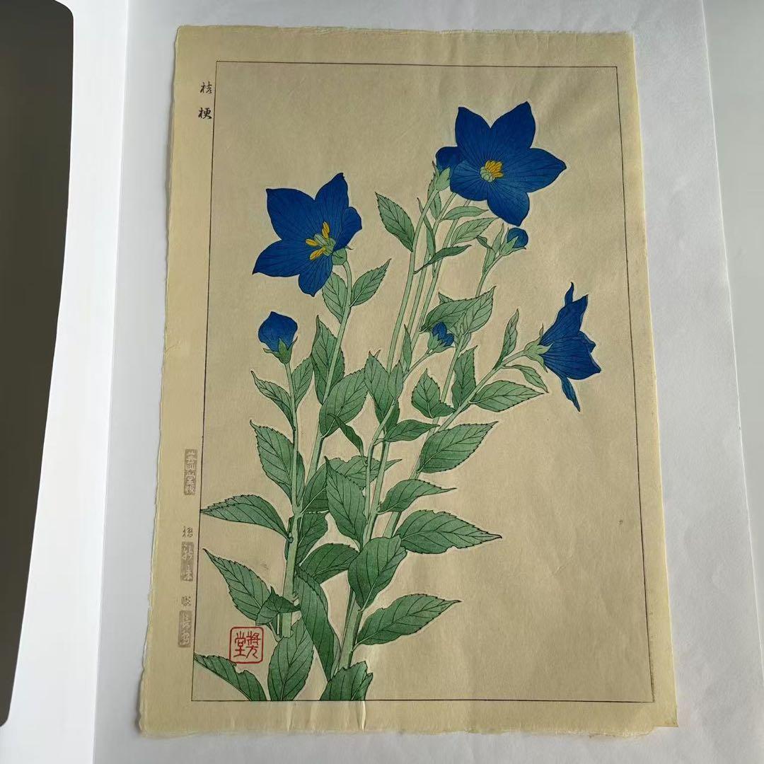 河原崎奨堂 芸艸堂 花の木版画 桔梗