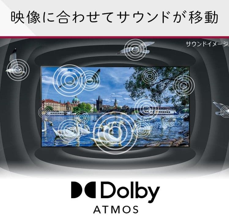 【直接】LG 55型 4K 有機EL テレビ OLED55B1PJA 2021