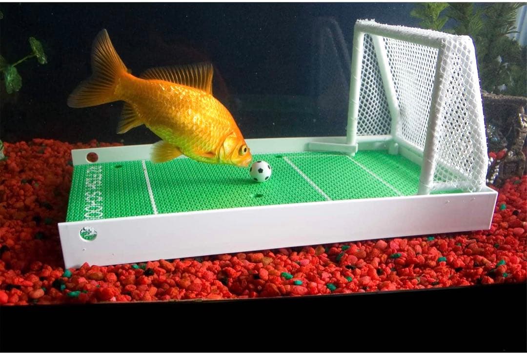 【希少品】フィッシュトレーニングキット　アクアリウム　観賞魚向け