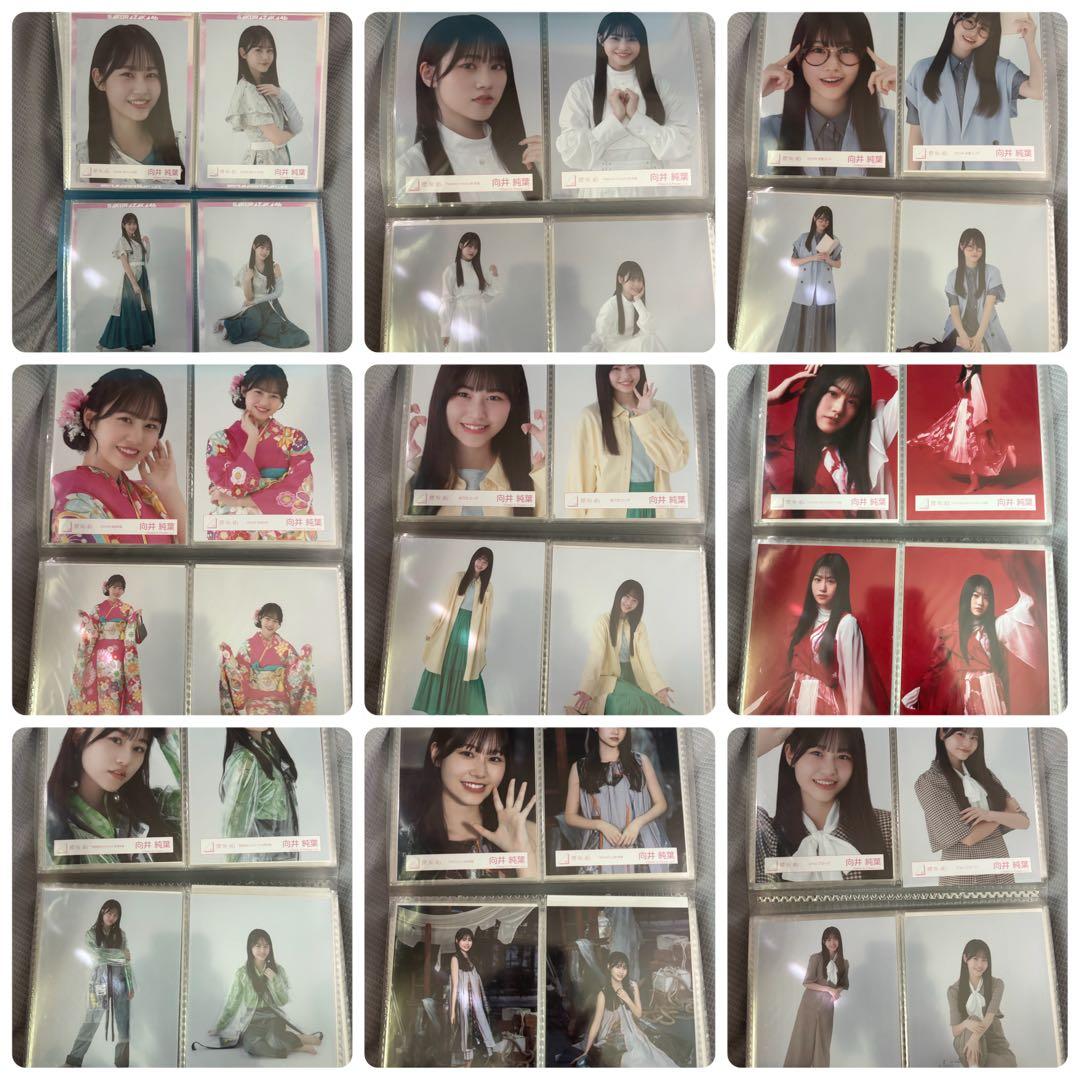 櫻坂46 向井純葉 生写真 コンプ まとめ売り