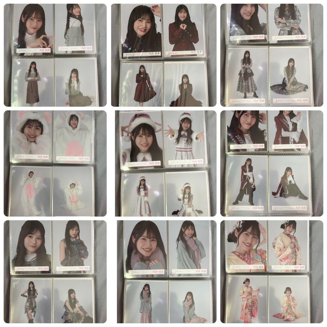 櫻坂46 向井純葉 生写真 コンプ まとめ売り