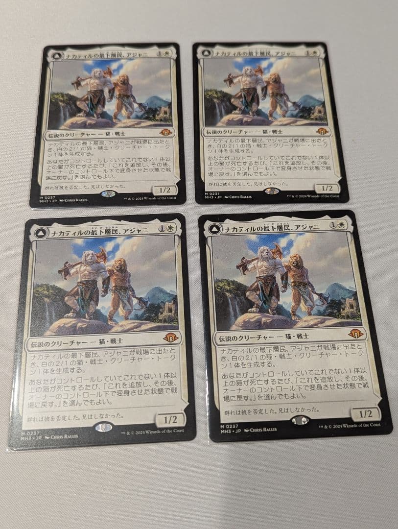 （渡邉様）ナカティルの最下層民、アジャニ MH3 日本語 4枚