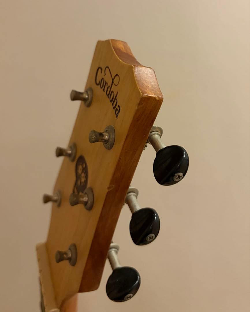 リメンバーミー コルドバ Cordoba ミニギター