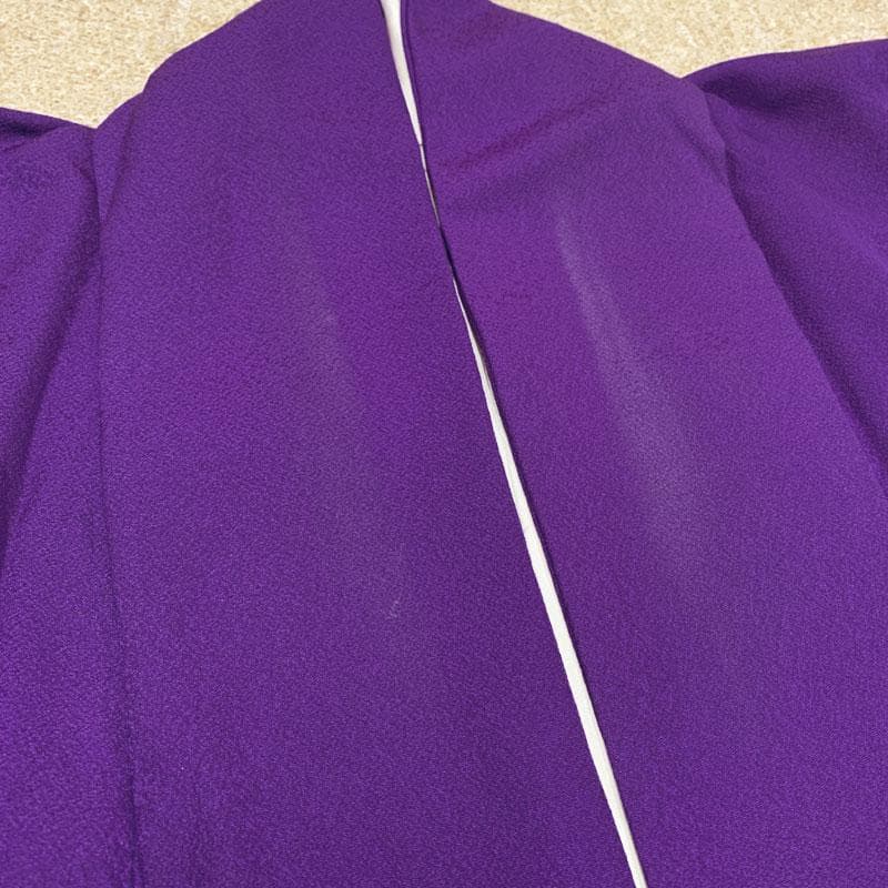 506z28,412y21,小物類,503u35,レース半衿☆中振袖 古典柄