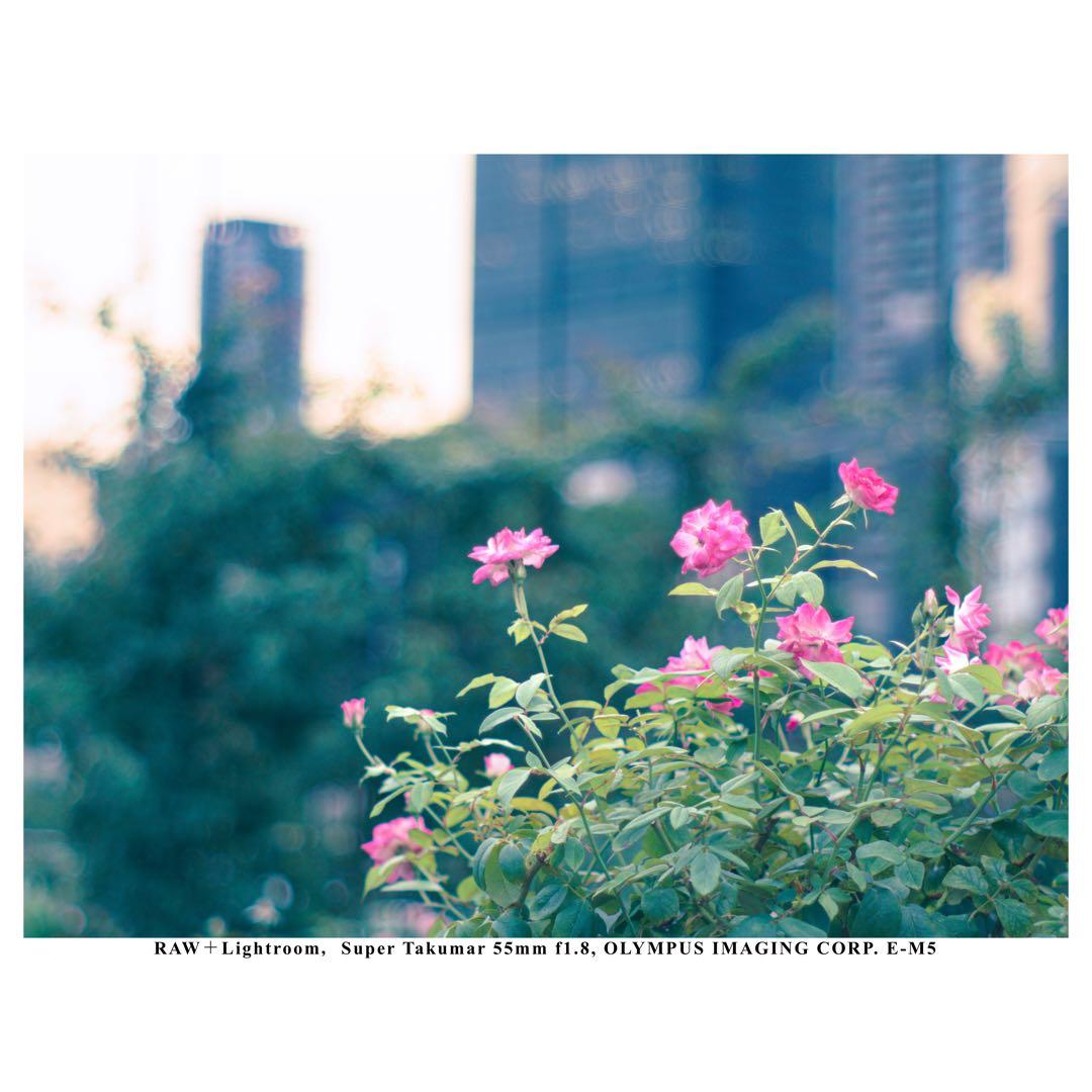 【整備済】Super Takumar 55㎜ f1.8 後期型 タクマー M42