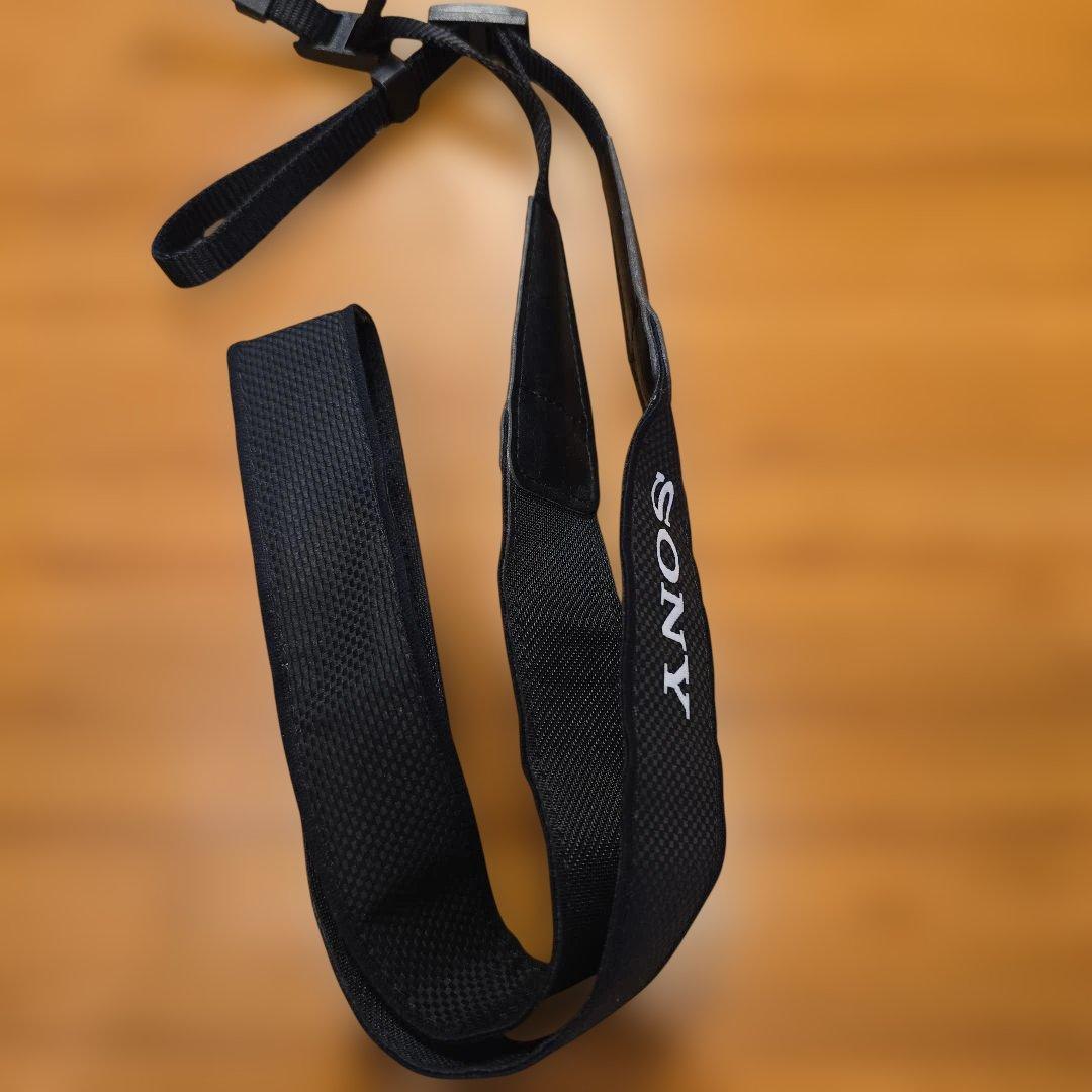 SONY α6000 ILCE-6000Y-B ダブルズームレンズキッド　ソニー