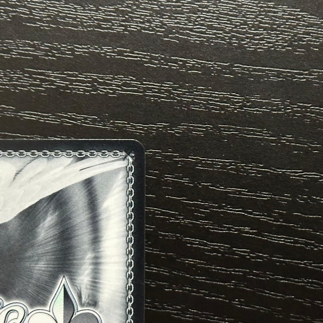 WS パーミャチ・メルクーリヤ SP サイン