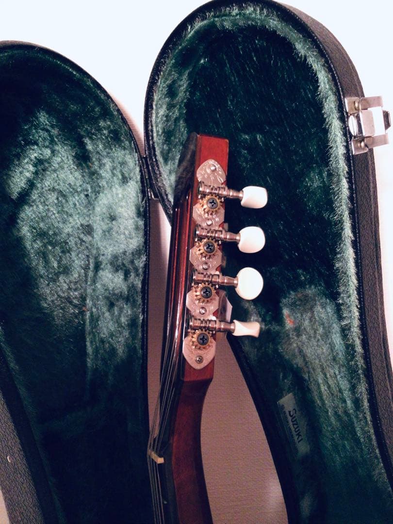 ◉鈴木バイオリン SUZUKI マンドリン M-30 ハードケース スズキ◉美品