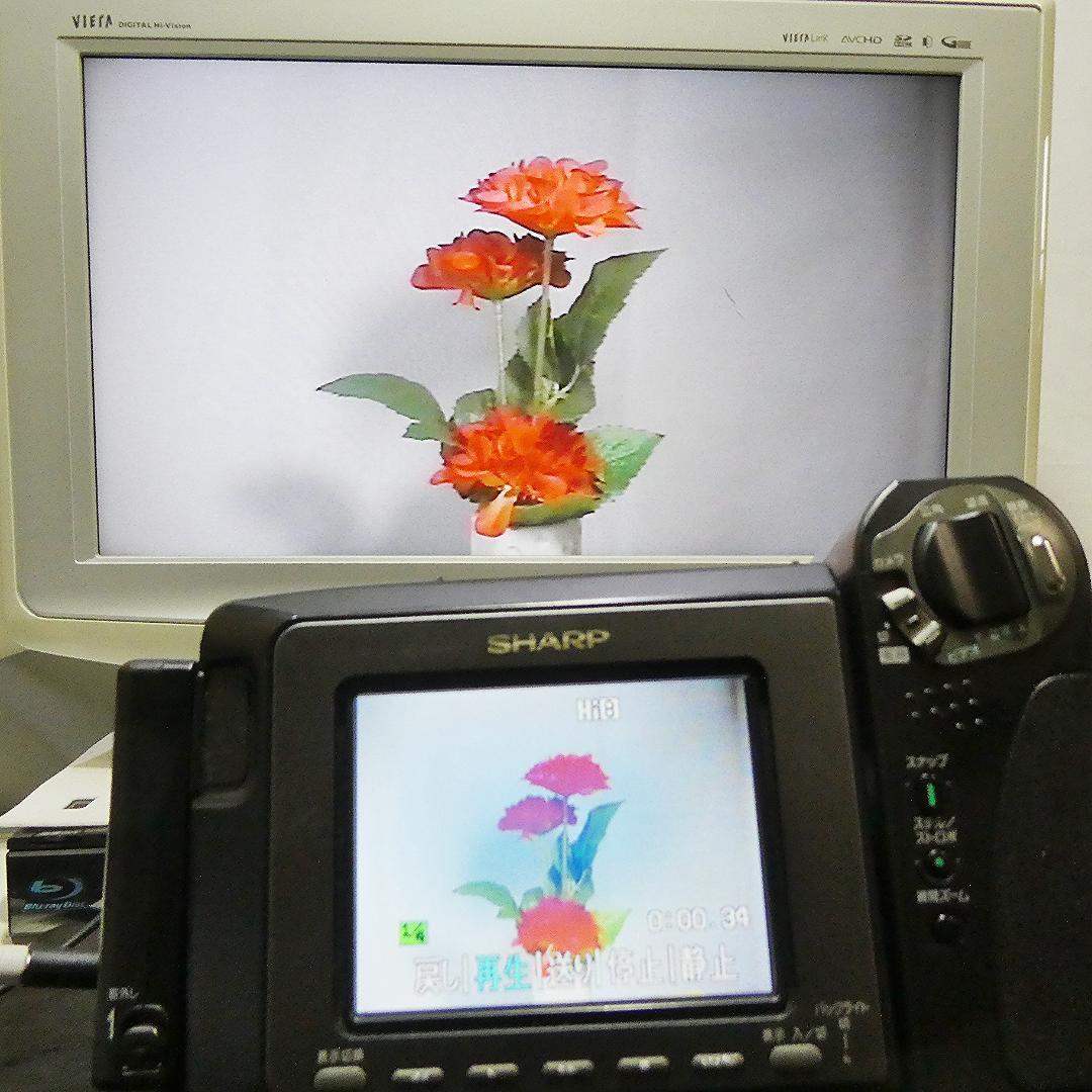 動動作良好 ビデオHi8 シャープ VL-HL50 8ミリビデオカメラDVD化に