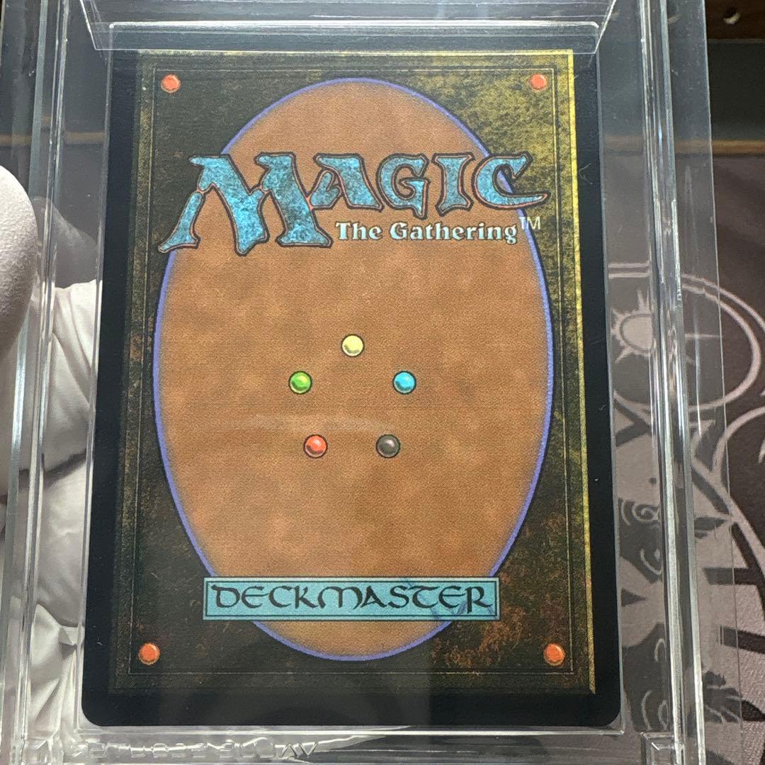 分岐する嵐、アラニア　VSS鑑定品