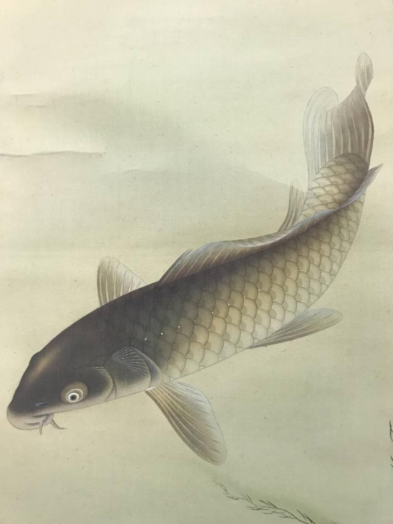 【真作】小林柏陽/師　西村五雲/遊鯉図/鯉図/掛軸/名家伝来/AC-630