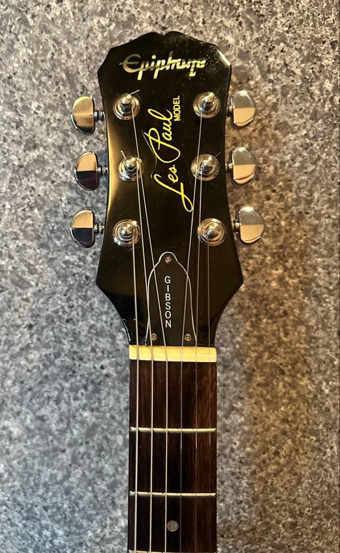 Epiphone Les Paul 100改