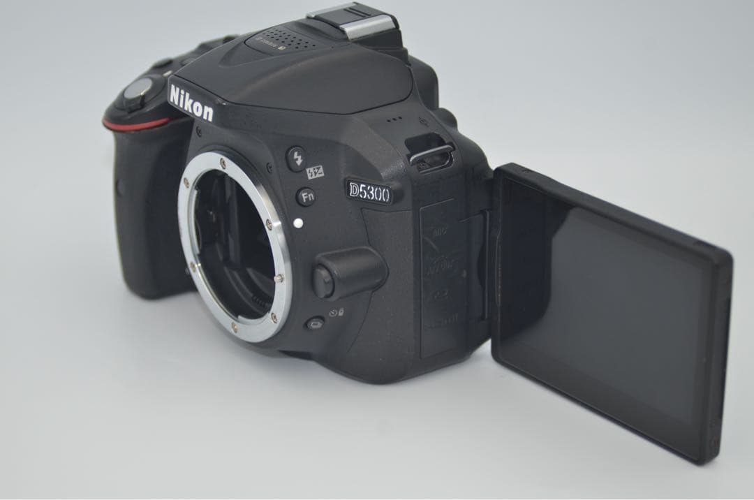 Nikon D5300 Wズームキット