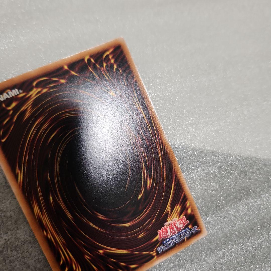 メ*グ様 誇りと魂の究極竜　ROTA-JP000　遊戯王