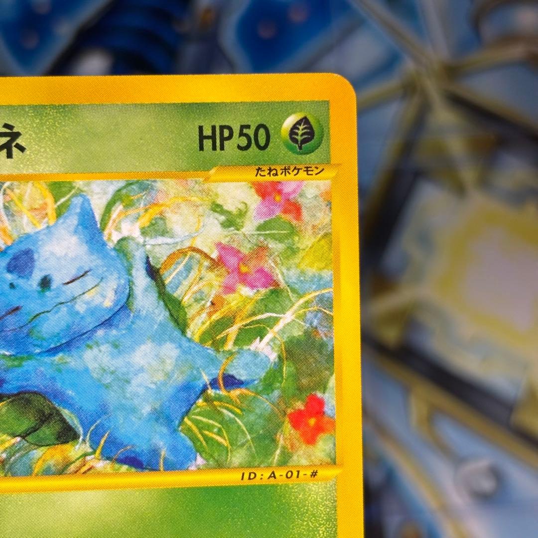 【美品】フシギダネ スターターパック 001/029