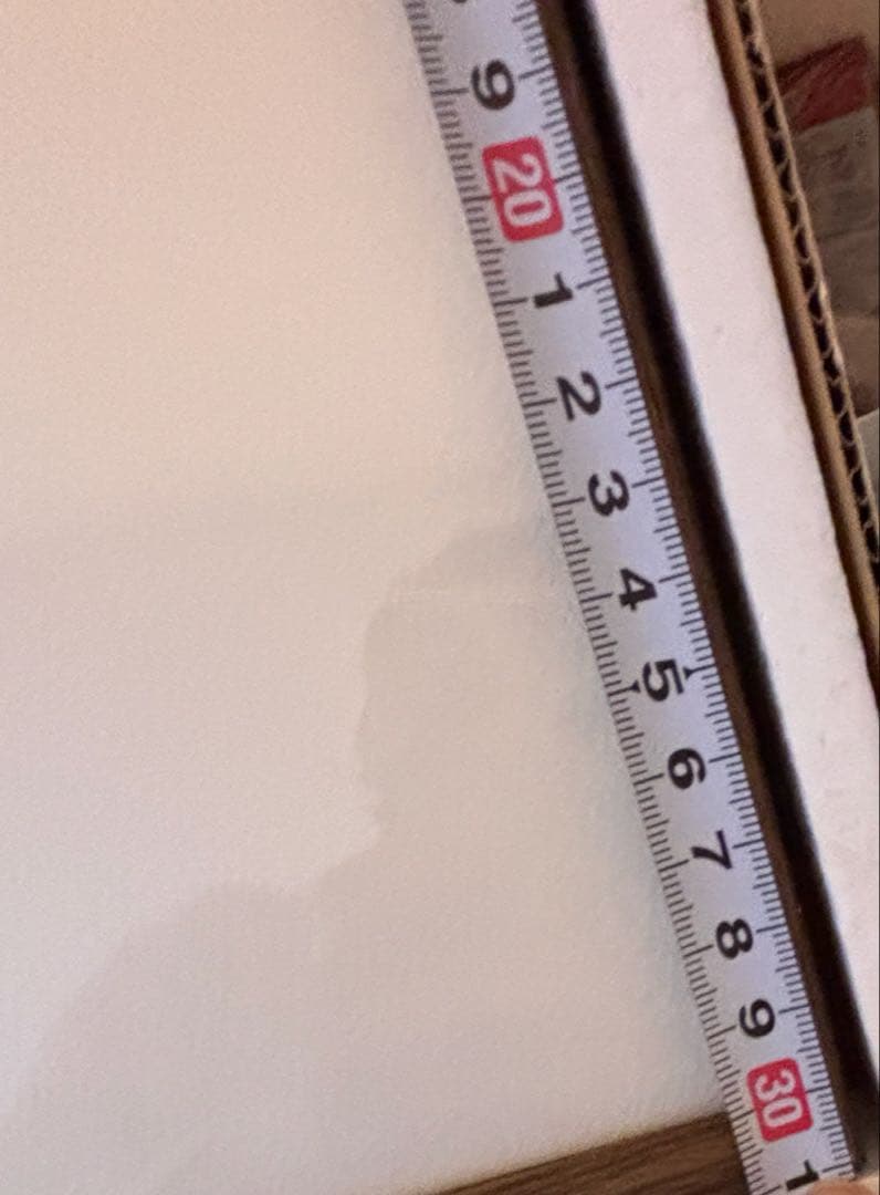 ☆ディズニー　白雪姫　アートギャラリー　願いの井戸☆プリンセス　アート