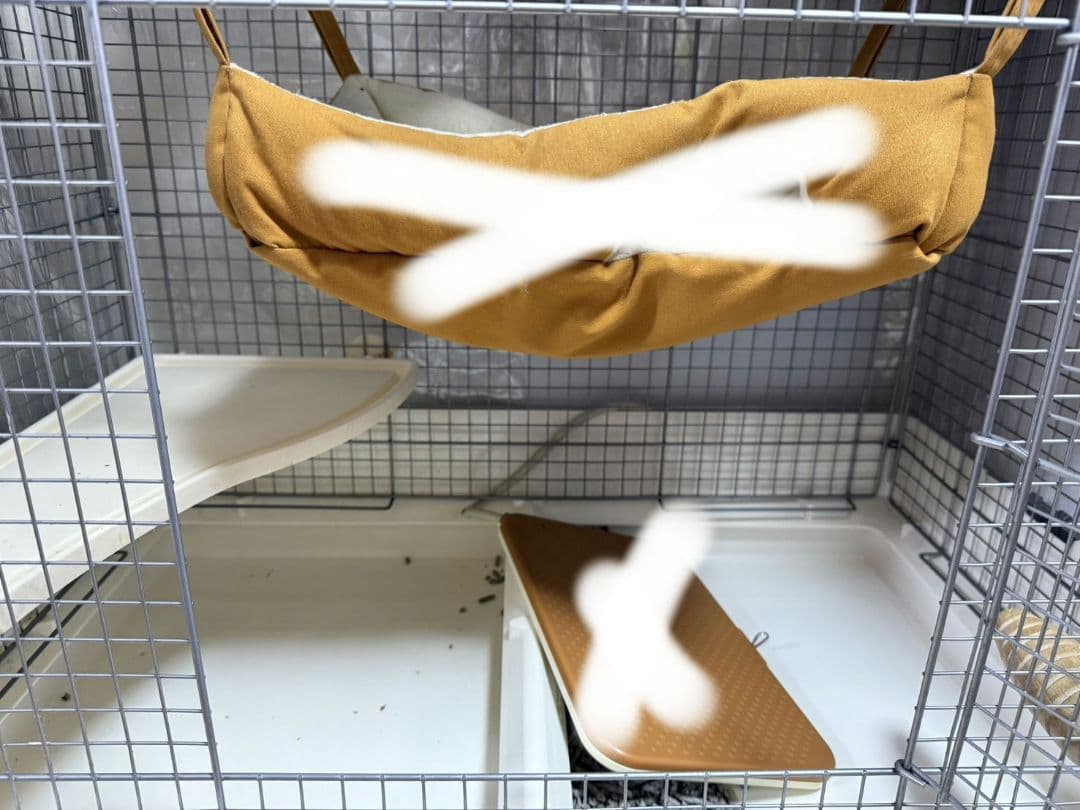 引き取り限定！三晃商会　イージーホーム　80cm