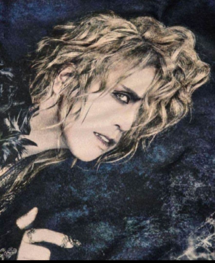 Versailles 武道館 ブランケット 2枚