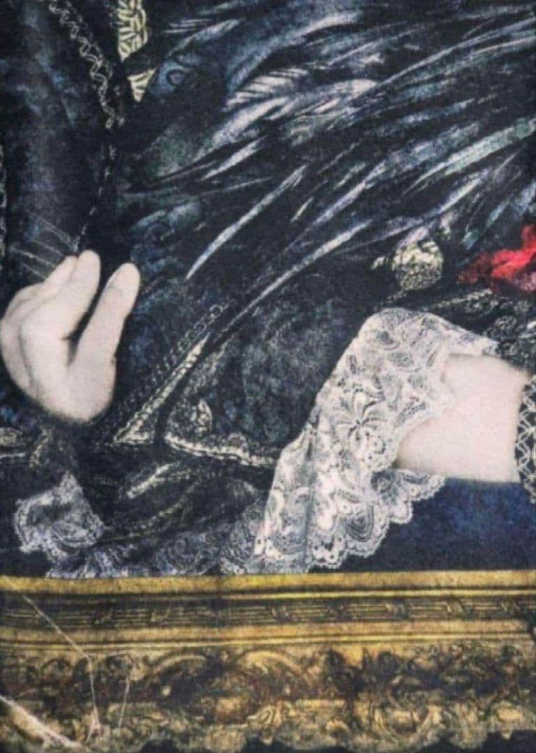 Versailles 武道館 ブランケット 2枚