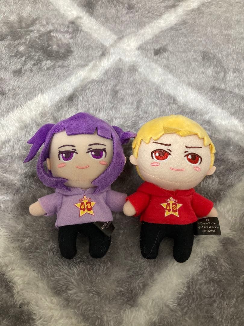 【フォーエイト48】公式ファンブックとグッズセット