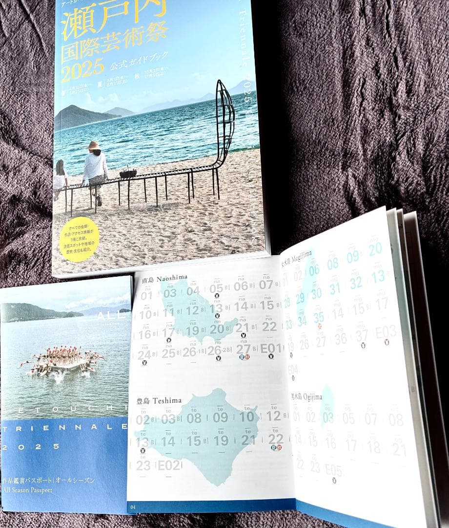 プロフ必読さん専用完売_瀬戸芸パス＆公式本セット_迷わずこのセット