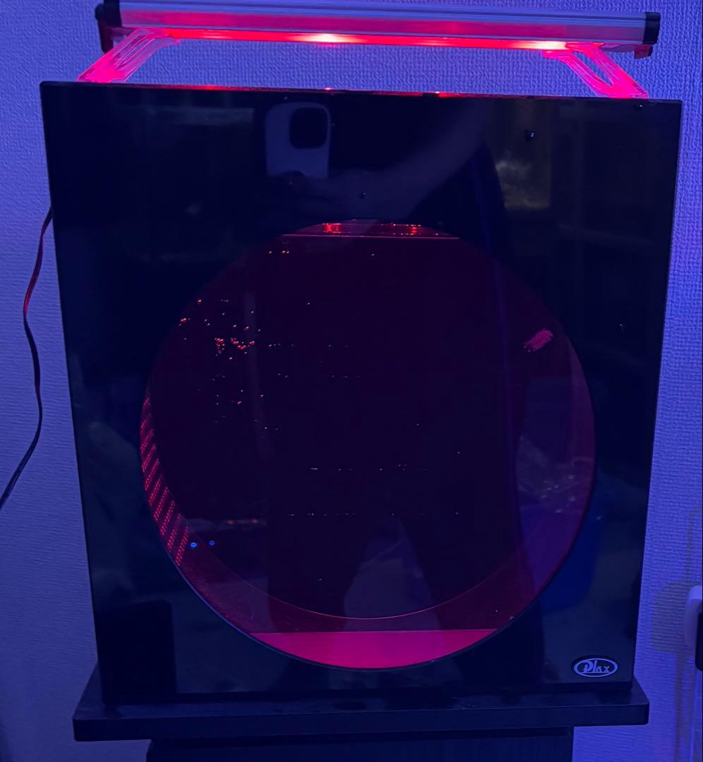 クラゲ水槽　海月水景　persona plax 円形水槽