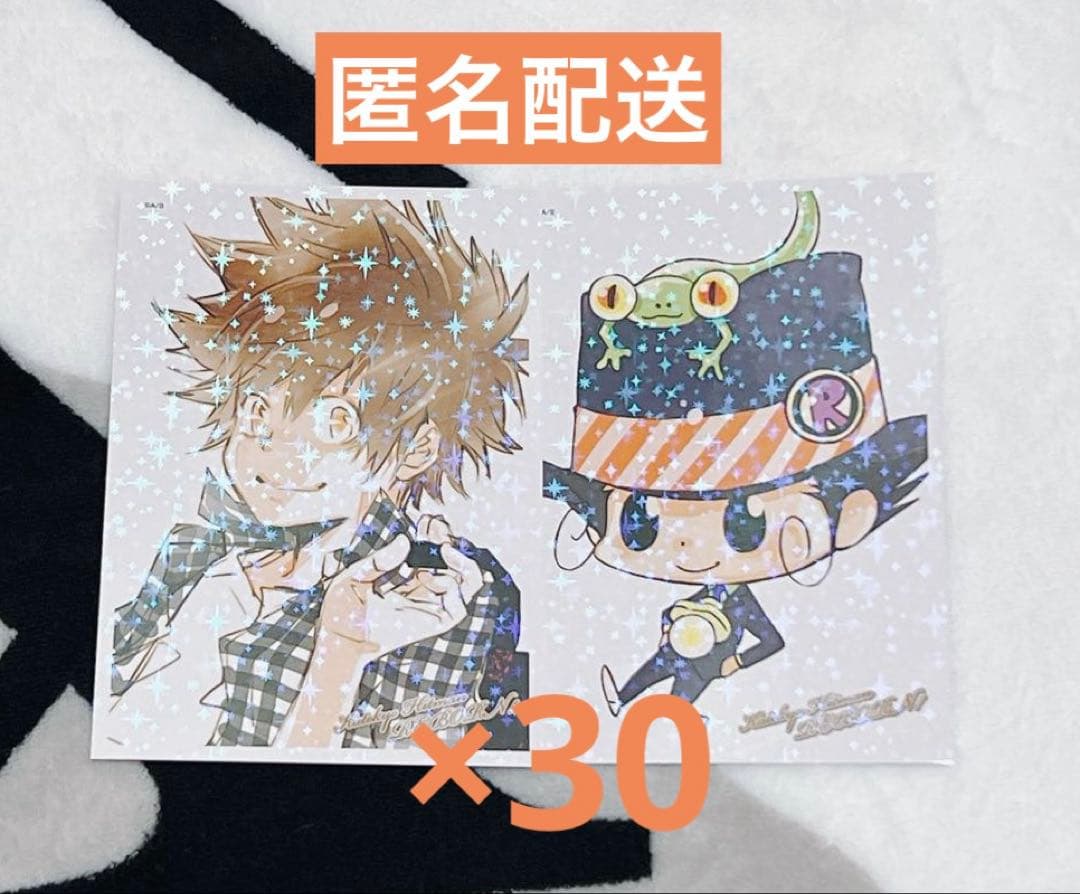 家庭教師ヒットマンREBORN! ブロマイド風カードくじ 沢田綱吉 リボーン