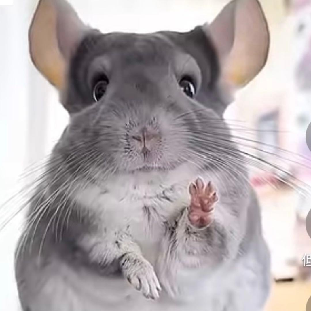 aaa⭐︎ブライダルインナーセット