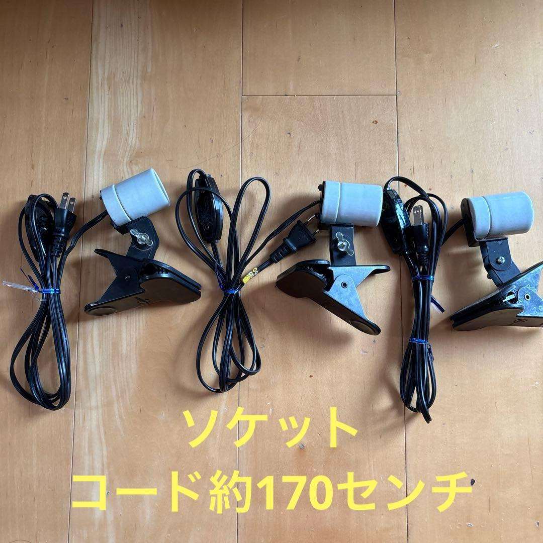 【爬虫類愛好者、初心者必見！】ソケットとライトのセット　値引き交渉可