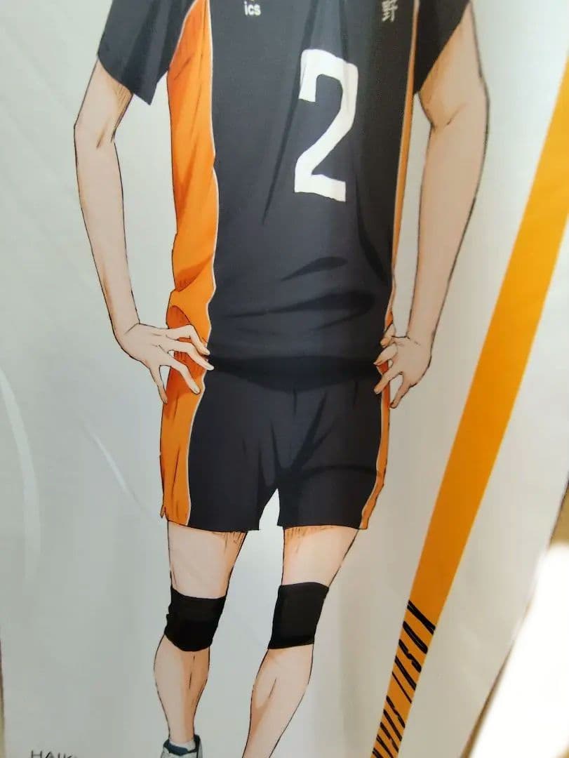 ハイキュー 菅原孝支 菅原 アニメイト タペストリー