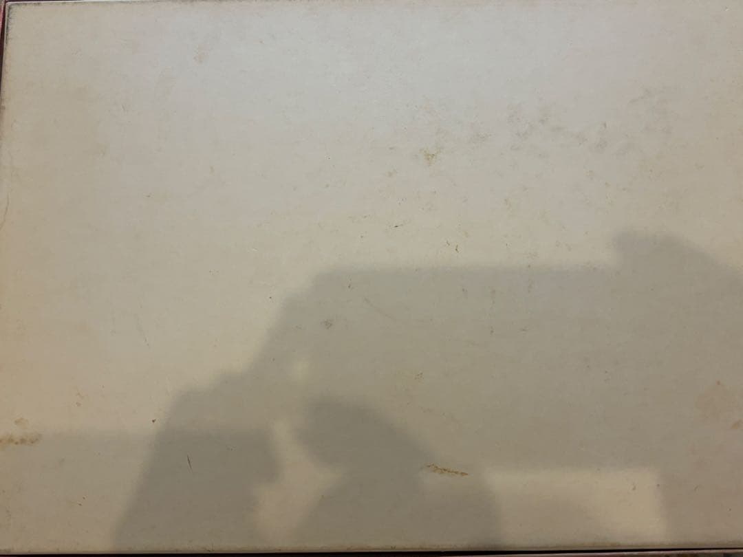 ビバリー　ジクソーパズル　1000ピース　花　2点まとめ　ブルー　ファンタジー