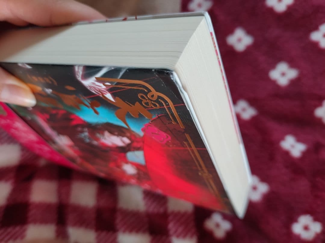 天官賜福　天官赐福 日本語版 小説